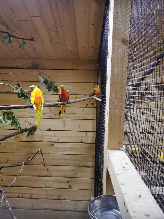 Apartmán Casa Hibiscus Putbus Exteriér fotografie
